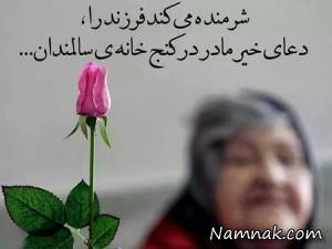 محمدرضا طاهری جشن میلاد زهرا